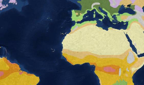 Screenshot 49