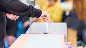 A person voting for the blog post about teaching government to kids